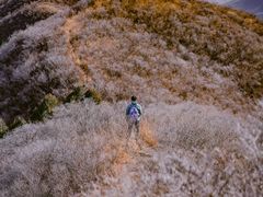 -阳台山自然风景区