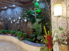 -盤古Spa泰式古法抓龙筋(鲁迅路店)