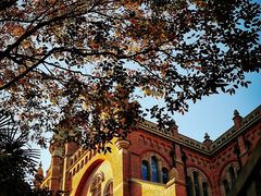 -上海佘山国家森林公园西佘山园