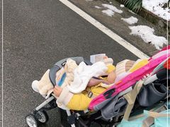 -南京老山国家森林公园
