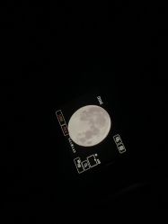 -苗方清颜专业祛痘·皮肤管理