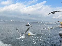 -海埂大坝