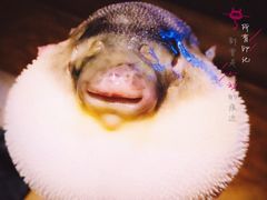 -天正河鲀·河豚亭(大连店)