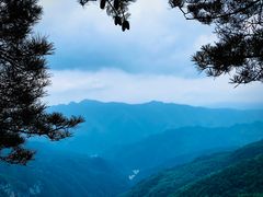 -牛背梁国家森林公园
