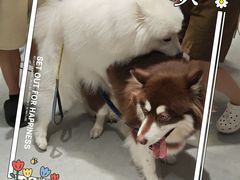 -瑞虹新天地月亮湾