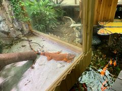 -上海大自然野生昆虫馆(东方明珠·爬宠昆虫探索中心)