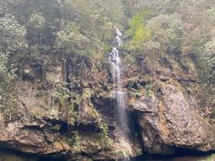 -龙苍沟森林公园