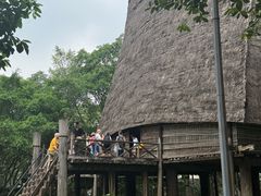 -越南民族学博物馆