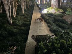 -上海科技馆(地铁站)