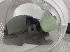 -睿金宠物医院·CT·肿瘤·骨外科