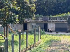 -岗上渣渣老火锅(两路口店)