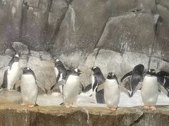 -成都浩海立方海洋公园