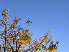 -东郊湿地公园