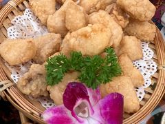-菌林天下·野生菌汤锅