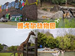 -宁波野生动物园