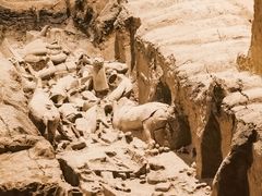 -秦始皇帝陵博物院(兵马俑)