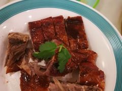 -椿记烧鹅(叠彩店)