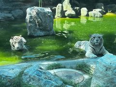 -北京野生动物园