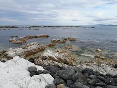 -Kaikoura Seafood BBQ Kiosk