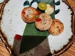 带子-柚子(假日店)