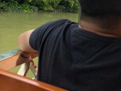 -大湾区中央湿地公园