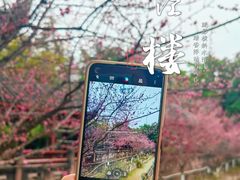 -望江楼公园