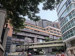 -香港大学
