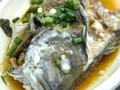 -七鲜渔港美食餐厅(巽寮湾海景店)