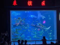 -太平洋海底世界