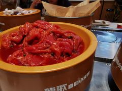 -龍歌自助小火锅(市南金茂湾店)