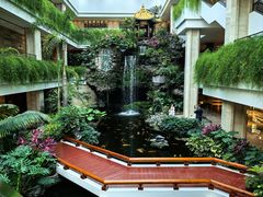 -广州白天鹅宾馆