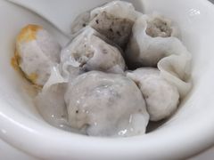 鱼包-章记正宗南岗鱼蛋火锅