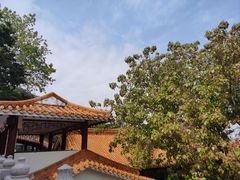 -深圳仙湖植物园