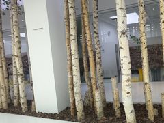 -极简口腔(总院)