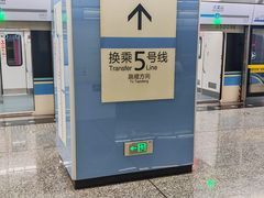 -大龙山(地铁站)