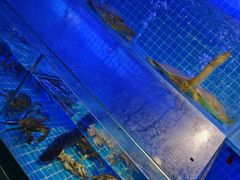 -焦亮烧烤海鲜(三原店)