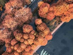 -安徽饭店·白鹭阁自助餐厅(梅山路店)