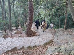 -岳麓山风景名胜区