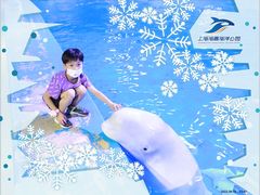 -上海海昌海洋公园-冰山北极馆