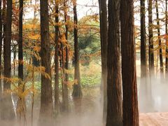-东湖落雁景区