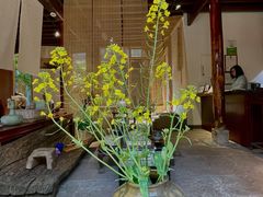 -紫阳古街