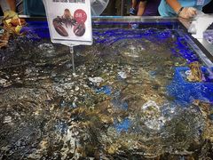 -盒马鲜生(大成店)