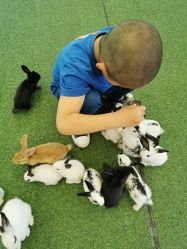 -萌宠亲子动物乐园(槐房万达店)