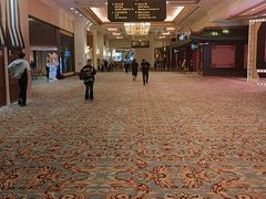 -澳门威尼斯人综合度假区