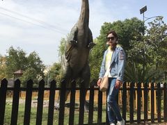 -自贡恐龙博物馆