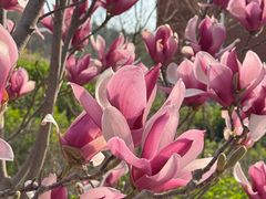 -山东大学(兴隆山校区)