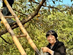 -东天目山风景区