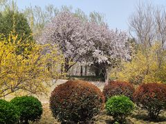 -达活泉公园