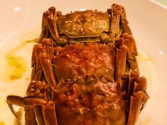 大闸蟹-东豪园林海鲜酒家(南港路辅路店)