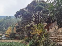 -杨家堂村